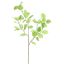 BEECH LEAF 121CM GREEN