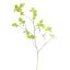 SPRING LEAF 113CM GREEN