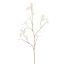 SPRING LEAF 113CM WHITE