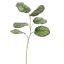 CALATHEA LEAF 117CM GREEN