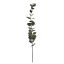 SINGLE EUCALYPTUS 84CM GREEN