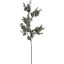 EUCALYPTUS 72CM GREEN