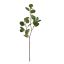 EUCALYPTUS SPRAY 76CM GREEN