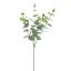 EUCALYPTUS 60CM GREY