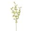PASTEL EUCALYPTUS 80CM MINT