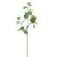 EUCALYPTUS 75CM GREEN