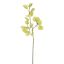 EUCALYPTUS 75CM LIGHT GREEN