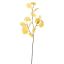 EUCALYPTUS 75CM YELLOW