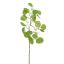 EUCALYPTUS BERRY 60CM GREEN