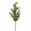 EUCALYPTUS 55CM GREEN