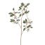 EUCALYPTUS 113CM GREY