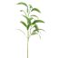 EUCALYPTUS SPRAY 60CM GREEN