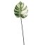 MONSTERA LEAF 52CM WHITE GREEN