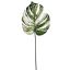 MONSTERA LEAF 60CM WHITE GREEN
