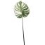 MONSTERA LEAF 86CM WHITE GREEN