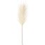 PALM LEAF 63CM BEIGE