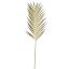 PALM LEAF 81CM GREEN