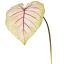 CALADIUM LEAF 113CM PINK GREEN
