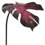 SPLIT PHILO LEAF 66CM AUBERGINE