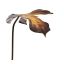 SPLIT PHILO LEAF 66CM BROWN