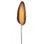 BANANA LEAF PU 110CM BROWN