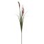 GRASS SPRAY X 3 W/FOXTAIL 90CM BURGUNDY