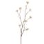 ALBIZIA SPRAY 108CM CREAM