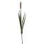 CATTAIL 100CM BROWN