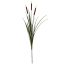 CATTAIL X3 125CM BROWN