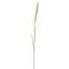 FOXTAIL 100CM CREAM