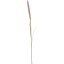 FOXTAIL 100CM PINK