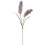 BRISTL GRASS X2 70CM LILAC
