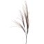 GRASS SPRAY 104CM BROWN