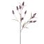 SOLIDAGO SPRAY 85CM PURPLE