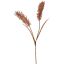 BRISTL SPRAY 70CM BROWN