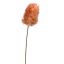 SMOKE TREE 95CM PEACH
