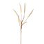 SETARIA GRASS SPRAY 74CM CREAM