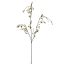 CHASMANTHIUM SPRAY 87CM GREEN