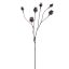 POPPY FRUIT X6 65CM BROWN