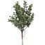 EUCALYPTUS PICK X3 25CM GREEN