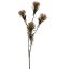 DIANTHUS SPRAY 60CM LILAC