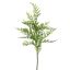FERN 60CM GREEN