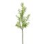 HERB 60CM GREEN