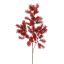 ASPARAGUS 73CM RED