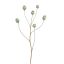 POPPY FRUIT SPRAY 79CM GREEN