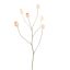 POPPY FRUIT SPRAY 79CM PEACH