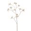 12250032-pe.jpg