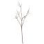 THORN BRANCH 120CM BROWN