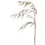 STACHYURUS SPRAY 128CM GREEN