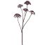 ANETHUM SPRAY X5 78CM PURPLE